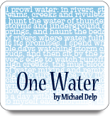 one water michael delp