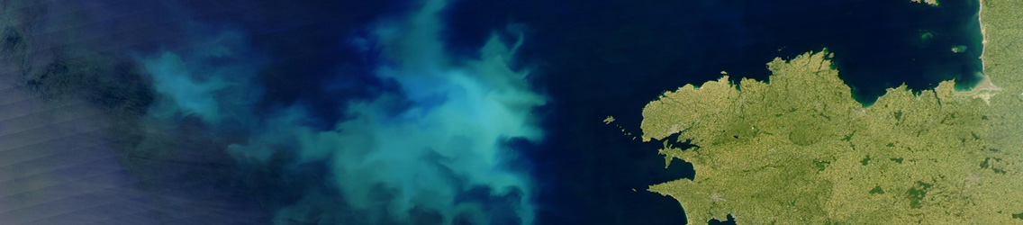 flow banners_0002_Algal_bloom_20040615