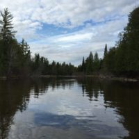 With Michigan’s Trout Opener on Tap, An Angler Reflects on Coalition-Building to Protect Coldwater