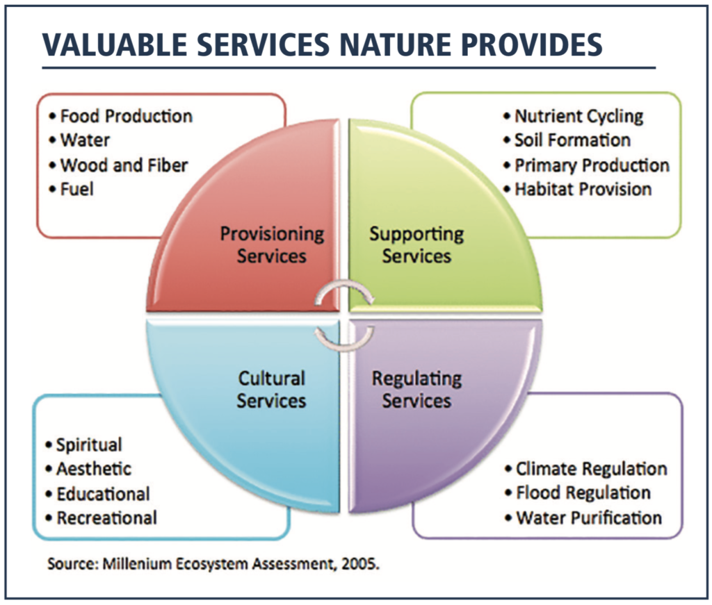 What Is Ecological Capital