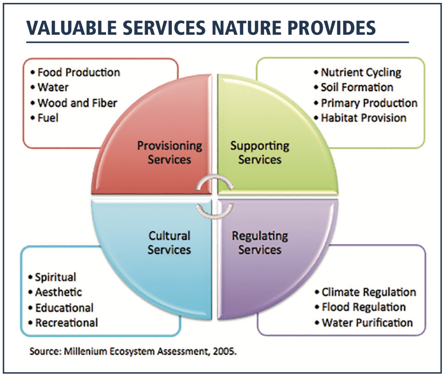 forestbiofacts