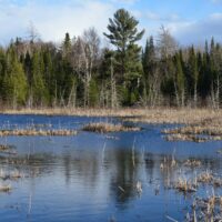 Appreciating and Protecting Michigan’s Inland Lakes